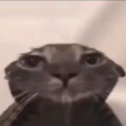 Peixas