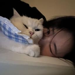 BabiBuu