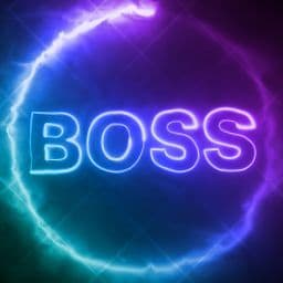 Mr_Bosss