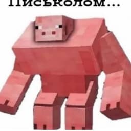 T5p0k
