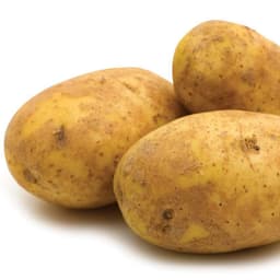 Xolodina