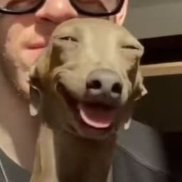 CR1T_KUSH
