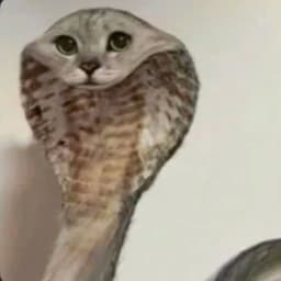 SeeCanTR