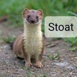 Ja_pl