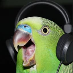 FhKaI