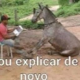 Anivaldo