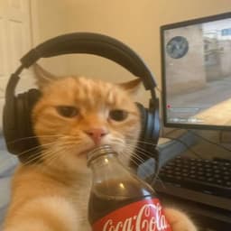 Kaji-