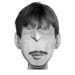 kons4