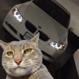 bmw_driver