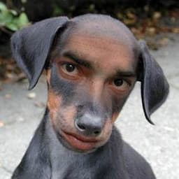 PedroCocaino